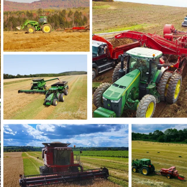 Good luck to all the farmers this harvest season! Wishing you a safe and successful harvest. 🌾🚜

Thank you @sipprellsaerialimaging wonderful pictures. 
#exploredcn #harvesttime #farminglife #carletoncounty